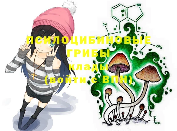 мяу мяу мука Белая Холуница