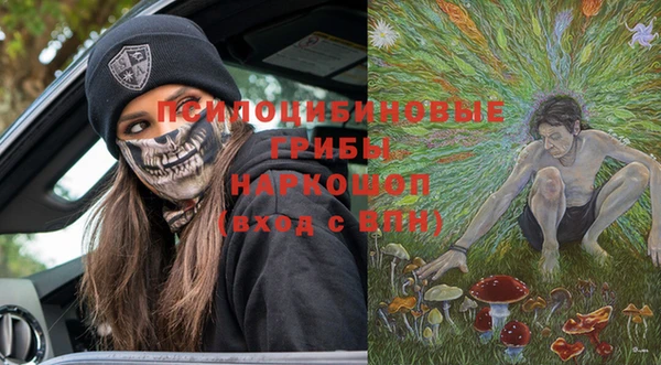 a pvp Осинники