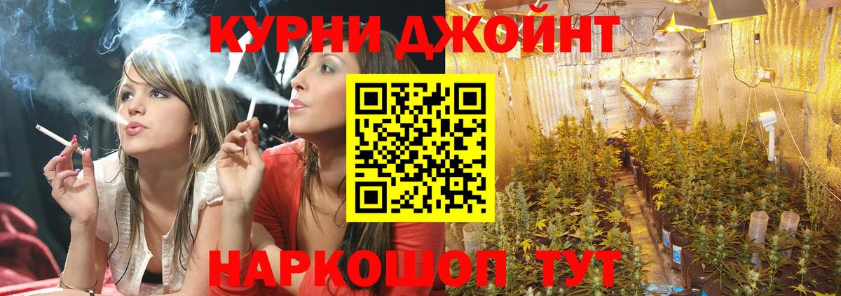 Бошки Шишки план  Каннабис White Widow  Алатырь 